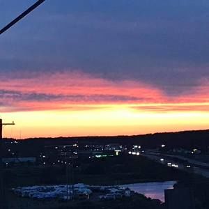 Meet your Posher, Patsy